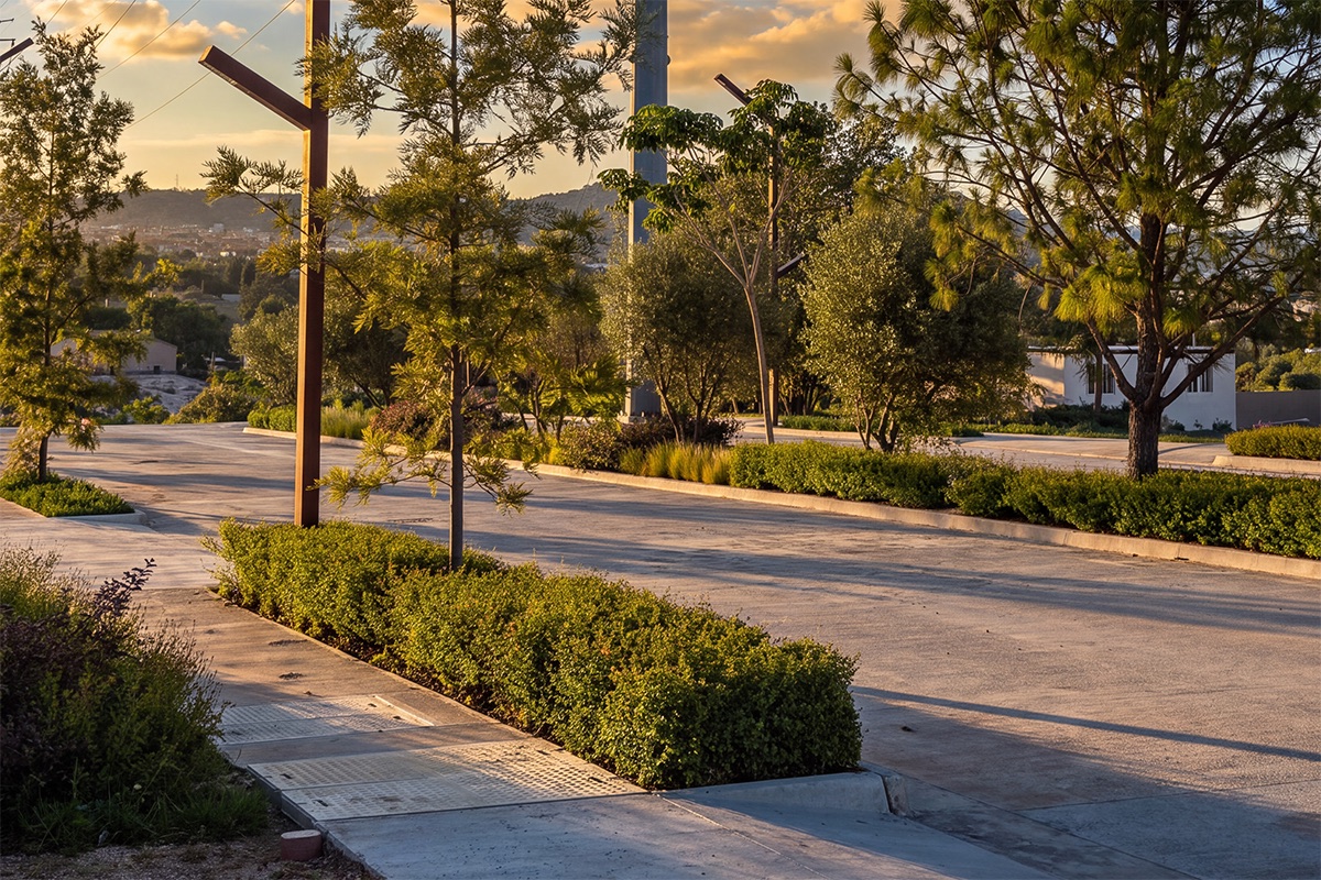 Vialidades amplias de TonaPark para la circulación y maniobra de transporte de carga en Tonalá, Jalisco.